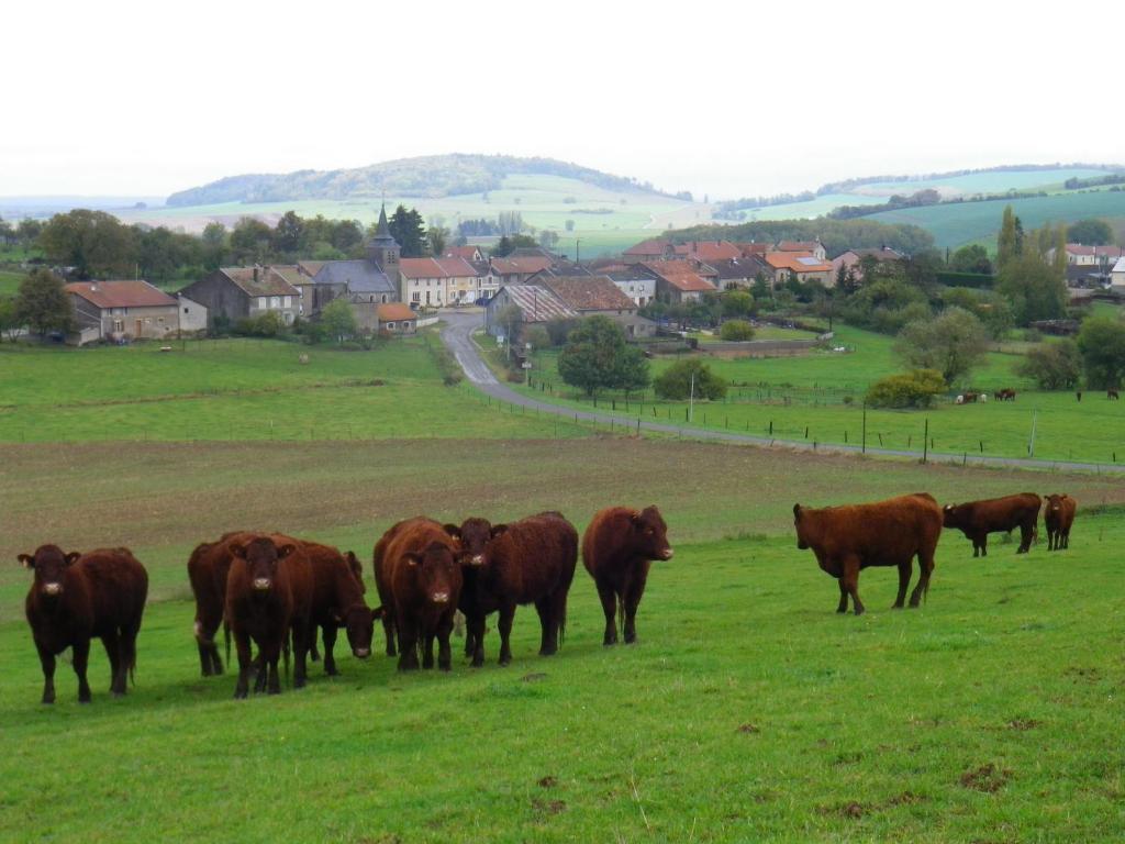 Chambre D'Hotes La Ferme Du Vallon Moirey ภายนอก รูปภาพ